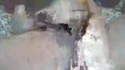 bigbr0wnc0ck69 online show from September 9, 2025, 4:50 pm