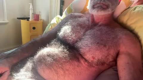 Snapshot of bigbush1 chatting on July 13, 2026, 2:03 am big bush online show from July 13, 2026, 2:03 am
