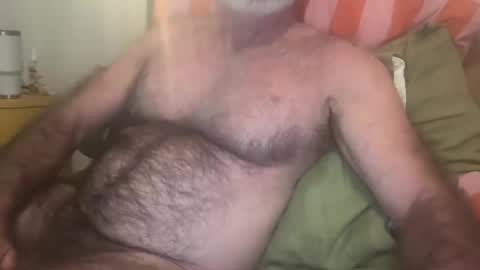 Snapshot of bigbush1 chatting on July 19, 2026, 7:23 am big bush online show from July 19, 2026, 7:23 am