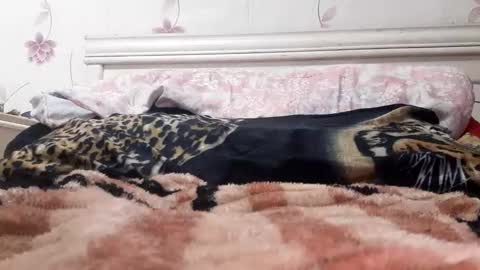 bigcock977654 online show from February 23, 2025, 1:13 am