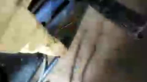 bigcockj808209 online show from July 10, 2026, 4:28 am