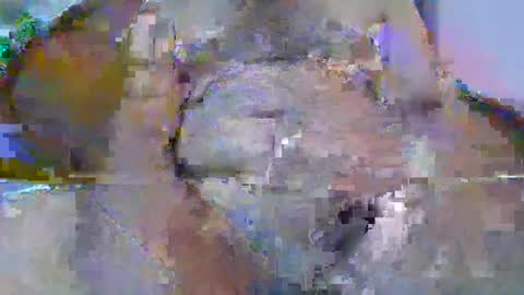 bigdaddysam95 online show from September 24, 2025, 6:00 pm