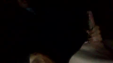bigdickdangles472924 online show from July 25, 2026, 9:45 pm