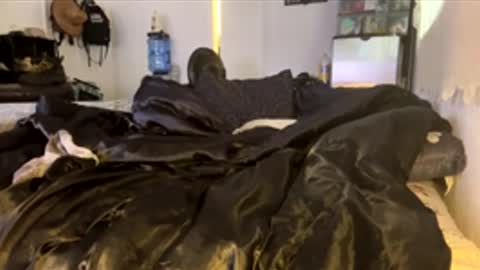 bigdickpapishampoo online show from February 4, 2026, 6:47 pm