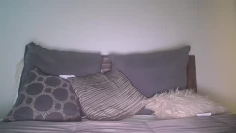 Snapshot of bigdicktrannynicole chatting on June 11, 2026, 12:32 am bigdicktrannynicole online show from June 11, 2026, 12:32 am