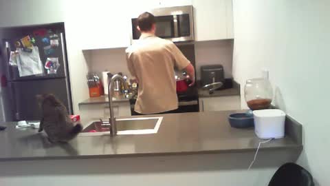 BigWilly online show from October 1, 2025, 9:54 pm