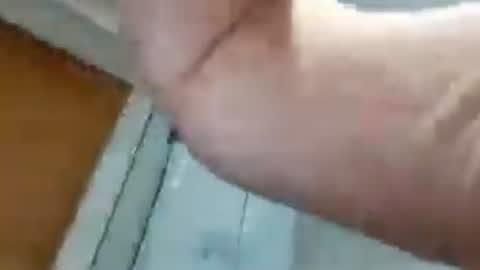 biggllh online show from July 4, 2026, 2:01 pm