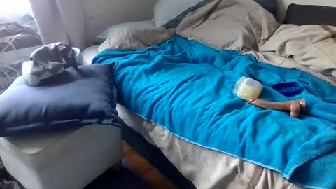 bigjoed233 online show from March 8, 2026, 3:05 pm