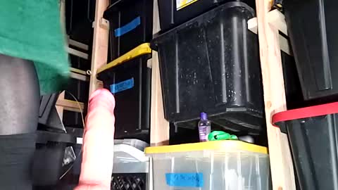 bigmanaround9 online show from December 6, 2024, 7:01 pm