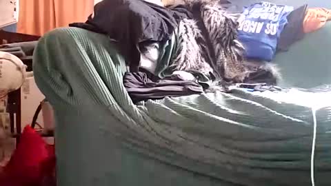 bigmanaround9 online show from December 11, 2024, 8:39 pm