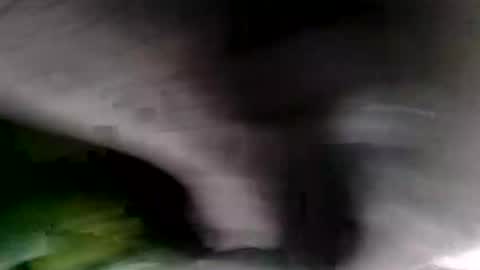 Snapshot of bignastyfilthy chatting on January 19, 2026, 2:15 am bignastyfilthy online show from January 19, 2026, 2:15 am