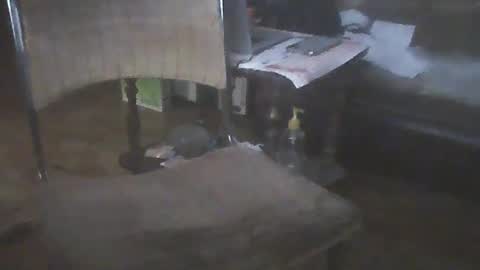 bigpenix online show from January 15, 2025, 2:06 am