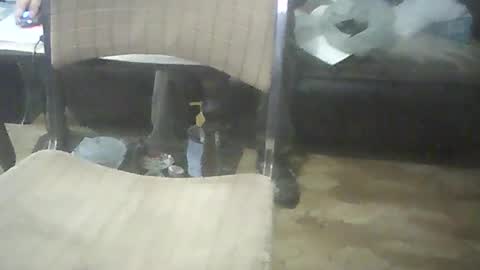 bigpenix online show from October 17, 2025, 2:04 am