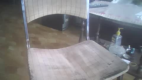 bigpenix online show from December 21, 2025, 3:41 pm