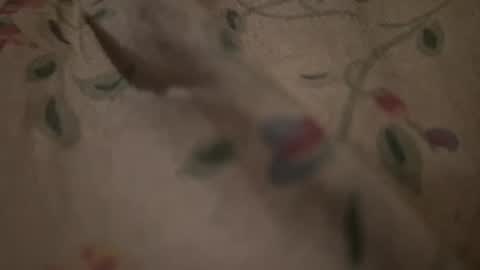 bigpoppadutch666 online show from January 16, 2026, 12:53 pm