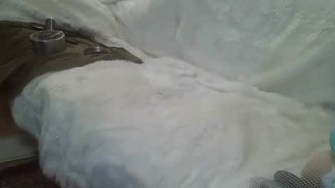 Snapshot of bigreallover chatting on December 14, 2024, 5:29 am ...... online show from December 14, 2024, 5:29 am