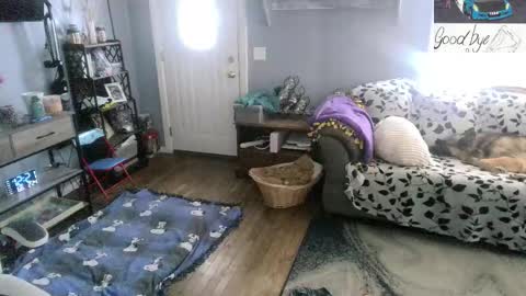 Snapshot of bigskittles4you chatting on February 24, 2026, 5:22 pm Skittles online show from February 24, 2026, 5:22 pm