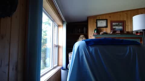 bigthicksatisfying2 online show from September 17, 2025, 8:32 pm