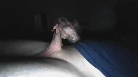 Snapshot of biiiiiiiiiiiiiig_ chatting on May 16, 2026, 5:04 am biiiiiiiiiiiiiig_ online show from May 16, 2026, 5:04 am