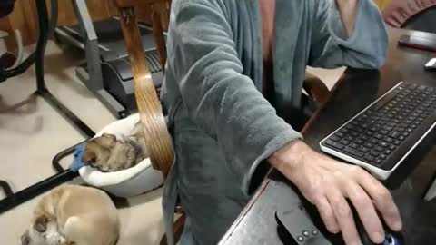 billy471 online show from November 19, 2025, 5:24 pm