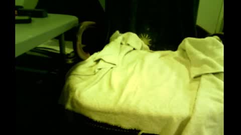 bimale4hotphuk online show from February 21, 2025, 7:45 am