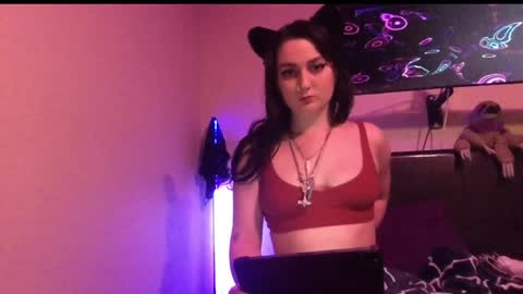 Snapshot of bimbokitten666 chatting on December 13, 2024, 4:11 am Danny online show from December 13, 2024, 4:11 am