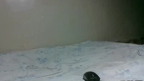 Snapshot of bitchcam_ chatting on November 28, 2025, 9:06 pm bitchcam_ online show from November 28, 2025, 9:06 pm