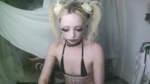 vampire fang  online show from January 7, 2026, 12:35 am