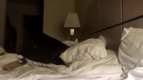 black_mamba2969 online show from November 23, 2025, 1:44 pm