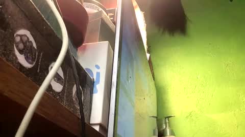 Snapshot of blackasiancockts chatting on November 13, 2025, 2:49 pm Crystal online show from November 13, 2025, 2:49 pm