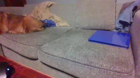 blaw_1321 online show from April 19, 2026, 10:45 pm