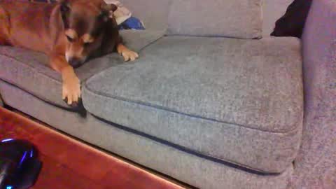 blaw_1321 online show from June 9, 2026, 5:52 am