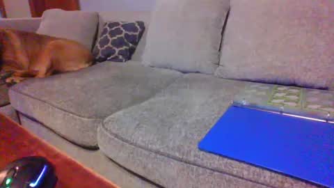 blaw_1321 online show from June 21, 2026, 12:35 am