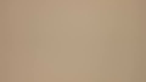 Blondie gin online show from February 21, 2025, 3:54 pm