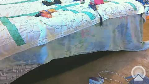 First Time College Boy online show from February 20, 2025, 2:24 pm