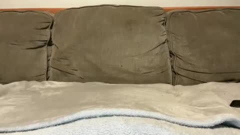 blondiedicks1 online show from September 16, 2025, 1:12 pm