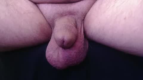 bluebee420 online show from February 21, 2026, 8:37 am