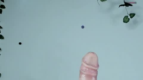 Sophie  online show from April 12, 2026, 9:42 pm