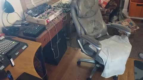 Snapshot of bnitehawk1234 chatting on September 20, 2025, 7:31 am harry cockins online show from September 20, 2025, 7:31 am