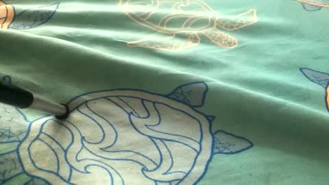 Bobby onbottom online show from April 19, 2026, 11:40 pm