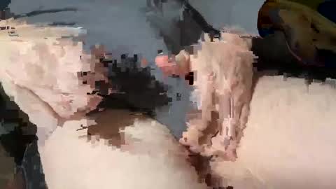 Heath online show from March 3, 2025, 1:53 pm