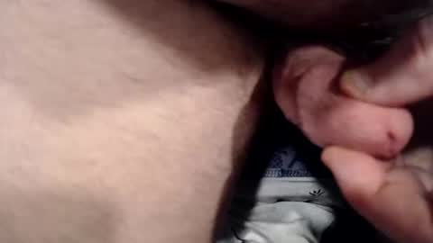 bobswan online show from December 20, 2024, 2:49 pm