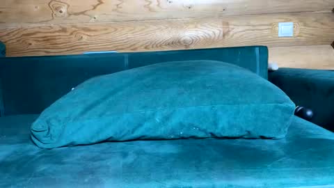 Nail and Olivia online show from October 21, 2025, 9:10 am