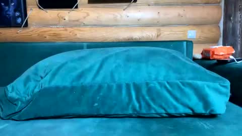 Nail and Olivia online show from November 14, 2025, 10:36 am