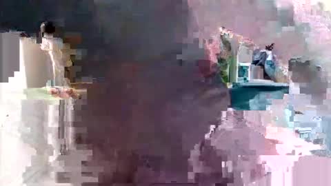 bolbil1 online show from January 12, 2025, 6:28 am