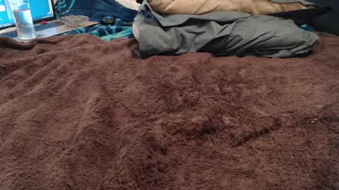 BoldPleasure online show from December 13, 2024, 7:10 pm