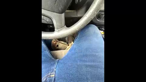 bombinshaman online show from February 4, 2026, 5:19 pm