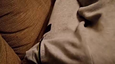 bonny8723 online show from February 5, 2025, 7:20 pm