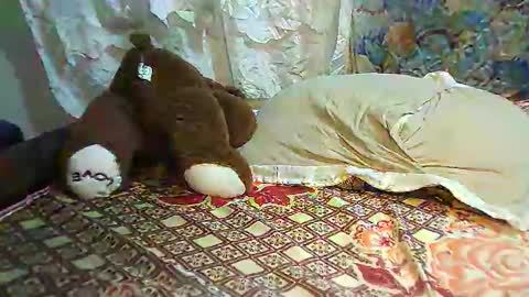 boobvherry online show from February 11, 2025, 10:59 am