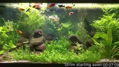 Booker Baxton online show from December 8, 2024, 4:04 am